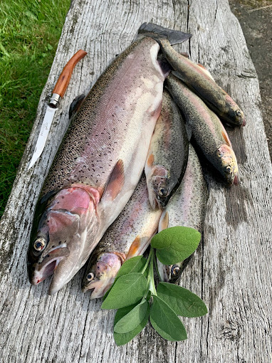 Unser Angebot Unser Angebot